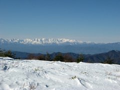 p1000175.jpg